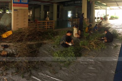 Làm thuốc ở Trường Xanh Tuệ Đức, Khu Đô Thị Thanh Hà, Hà Nội