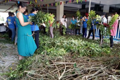 Làm thuốc ở Trường Xanh Tuệ Đức, Khu Đô Thị Thanh Hà, Hà Nội