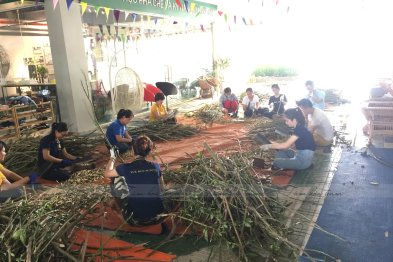 Làm thuốc ở Trường Xanh Tuệ Đức, Khu Đô Thị Thanh Hà, Hà Nội