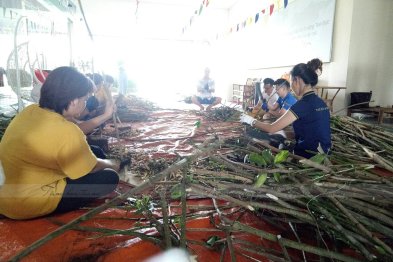 Làm thuốc ở Trường Xanh Tuệ Đức, Khu Đô Thị Thanh Hà, Hà Nội