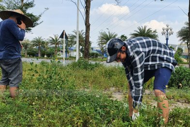 Làm thuốc ở Trường Xanh Tuệ Đức, Khu Đô Thị Thanh Hà, Hà Nội