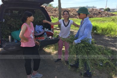 Hái cây thuốc Nam tại Thạch Thất - Hà Nội (27.06.2020) 