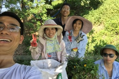 Hái cây thuốc Nam tại Đông Anh - Hà Nội (28.06.2020)