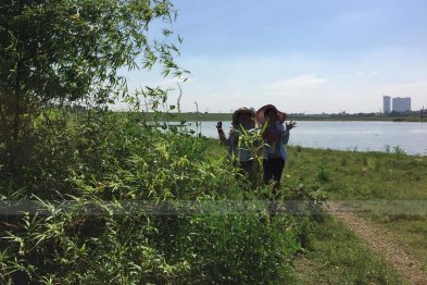 Hái cây thuốc Nam tại Đông Anh - Hà Nội (28.06.2020)