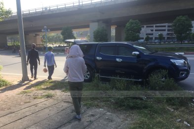 Hái cây thuốc Nam tại Đông Anh - Hà Nội (28.06.2020)