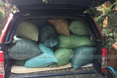 Phơi thuốc ở sân trường Xanh Tuệ Đức, Khu ĐT Thanh Hà, Hà Nội (02.07.2020)