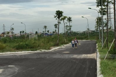 Hái thuốc tại Tp Nam Định (10-11.07.200)