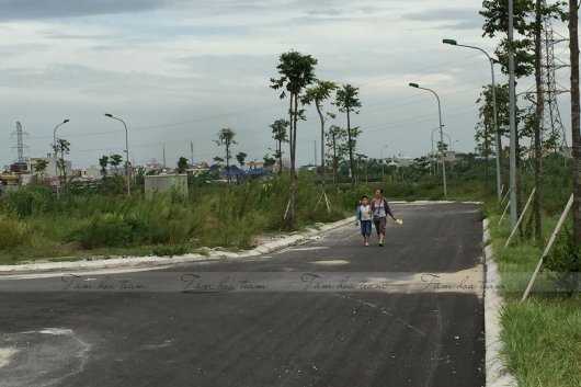 Hái thuốc tại Tp Nam Định (10-11.07.200)