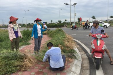 Hái thuốc tại Tp Nam Định (10-11.07.200)