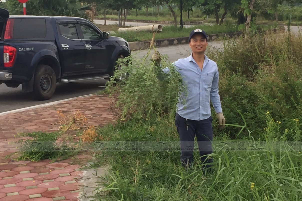 Hái thuốc tại Tp Nam Định (10-11.07.200)