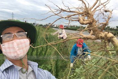 Hái thuốc tại Tp Nam Định (10-11.07.200)