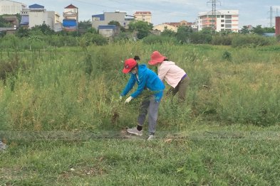 Hái thuốc tại Tp Nam Định (10-11.07.200)
