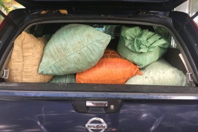 Sơ chế cây thuốc tại Happy Office + trường Xanh Tuệ Đức, Hà Nội (12-13.07.2020)