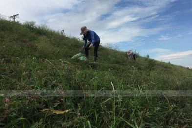 Hái cây thuốc Nam tại Đông Anh + HappyOffice - Hà Nội (01.08.2020)