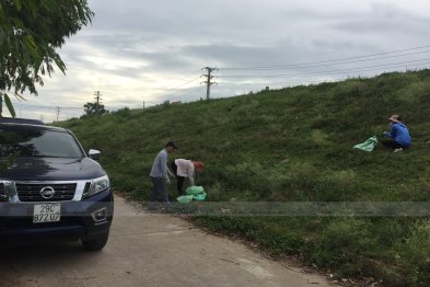 Hái cây thuốc Nam tại Đông Anh + HappyOffice - Hà Nội (01.08.2020)