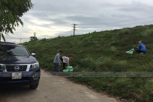 Hái cây thuốc Nam tại Đông Anh + HappyOffice - Hà Nội (01.08.2020)