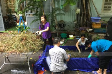 Hái cây thuốc Nam tại Đông Anh + HappyOffice - Hà Nội (01.08.2020)