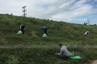 Hái cây thuốc Nam tại Đông Anh + HappyOffice - Hà Nội (01.08.2020)