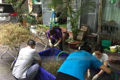 Hái cây thuốc Nam tại Đông Anh + HappyOffice - Hà Nội (01.08.2020)