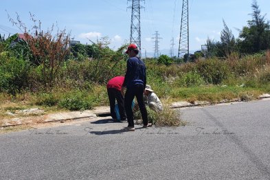 Team Đà Nẵng thu hái cây thuốc (20.06.2020)