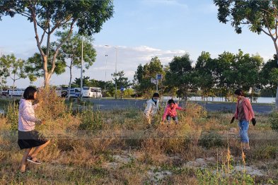 Team Đà Nẵng thu hái cây thuốc (20.06.2020)