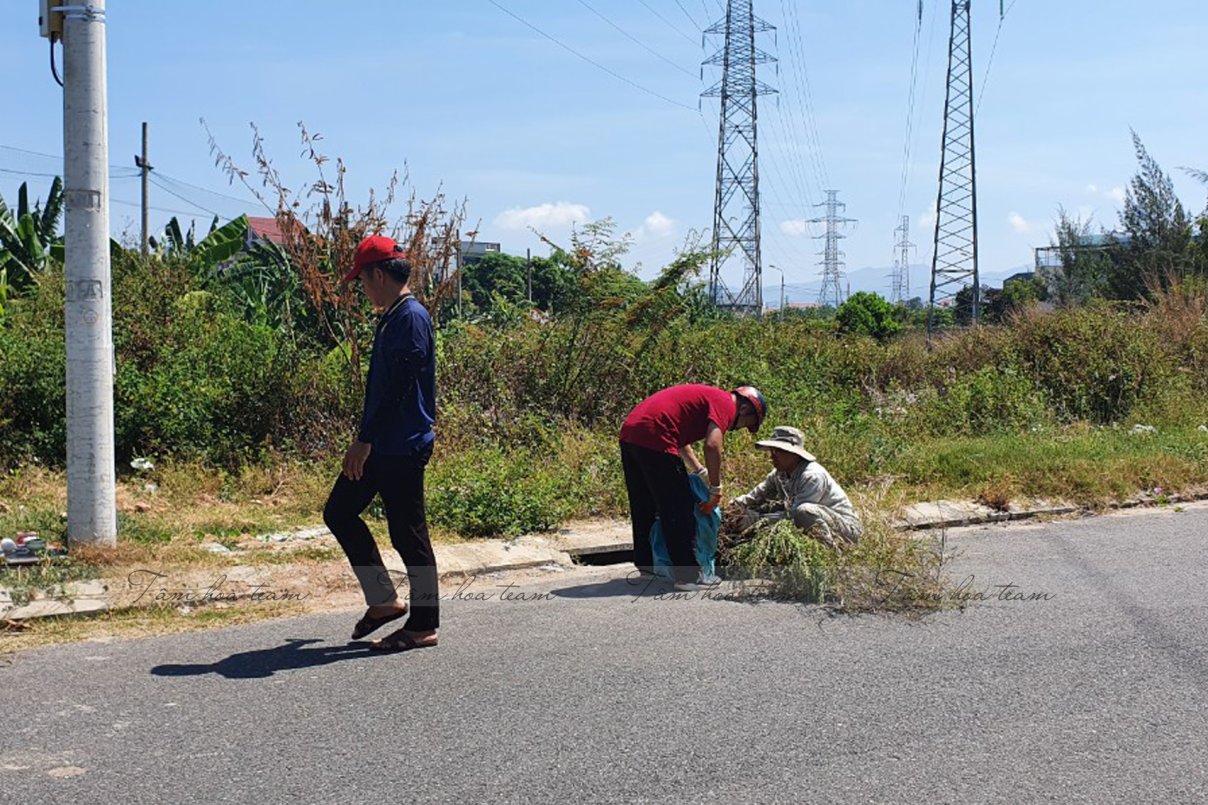 Team Đà Nẵng thu hái cây thuốc (20.06.2020)