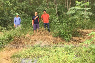 Team thăm mô hình mẫu trồng thuốc gia đình anh Sơn - Vĩnh Phúc (26.07.2020)